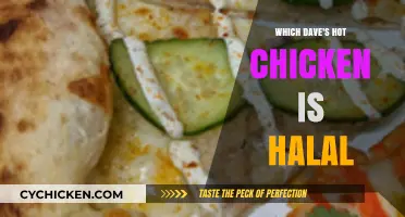 Is Dave's Hot Chicken Halal? A Guide to Certified Locations