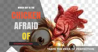 Why Chickens Dread Sundays: Unraveling Their Fear of the Week
