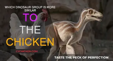 Chicken Cousins: Uncovering Dinosaur-Bird Similarities