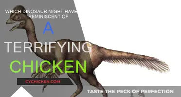 The Terrifying Prehistoric Chicken-like Dinosaurs