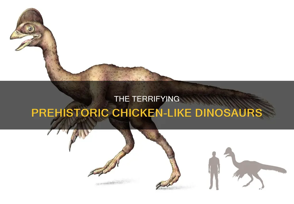 which dinosaur might have been reminiscent of a terrifying chicken