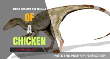 Tiny Titans: Discovering the Chicken-Sized Dinosaurs of the Past