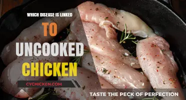 Uncooked Chicken Risks: Salmonella and Campylobacter Dangers Explained