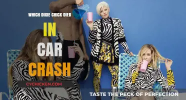 Dixie Chicks Tragedy: The Car Crash That Took a Member's Life