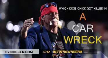 Who was the Dixie Chick who died in a car crash?