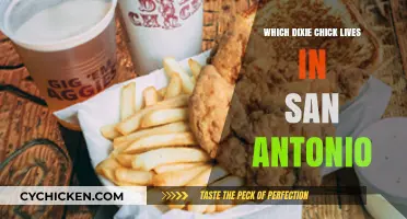 Which Dixie Chick Calls San Antonio Home? Discover the Answer