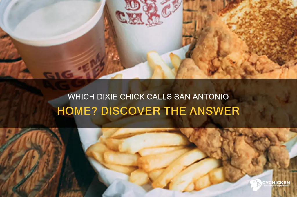 which dixie chick lives in san antonio