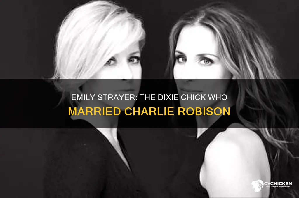 which dixie chick was married to charlie robison