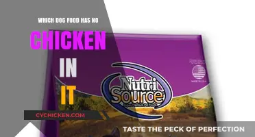 Chicken-Free Dog Food: Top Options for Sensitive Canine Diets