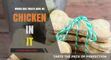 Chicken-Free Dog Treats: Safe and Tasty Alternatives for Your Pup