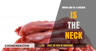 Identifying the Chicken's Neck: A Simple Guide to Poultry Anatomy