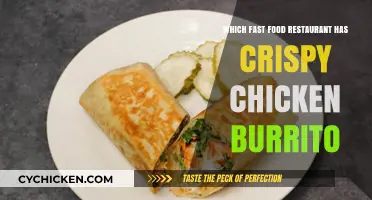 Crispy Chicken Burrito Quest: Which Fast Food Chain Nails It?