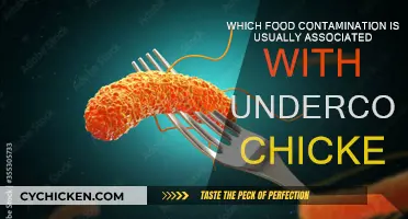 Undercooked Chicken: Salmonella Contamination Risks