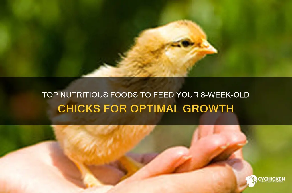 which food is best for 8 week chicks