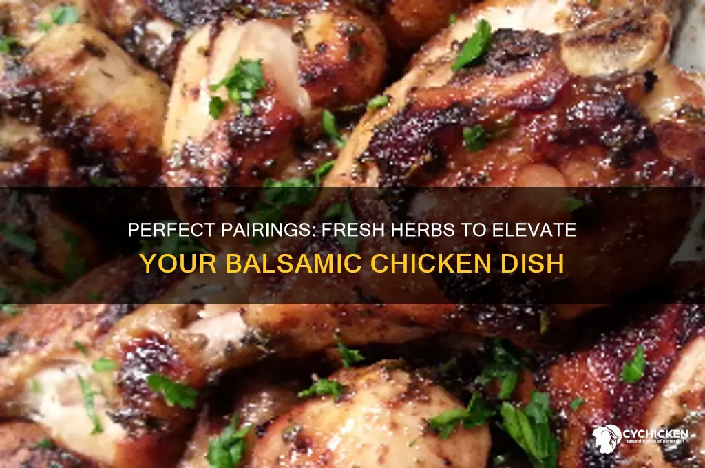 which fresh herbs go best with balsamic chicken