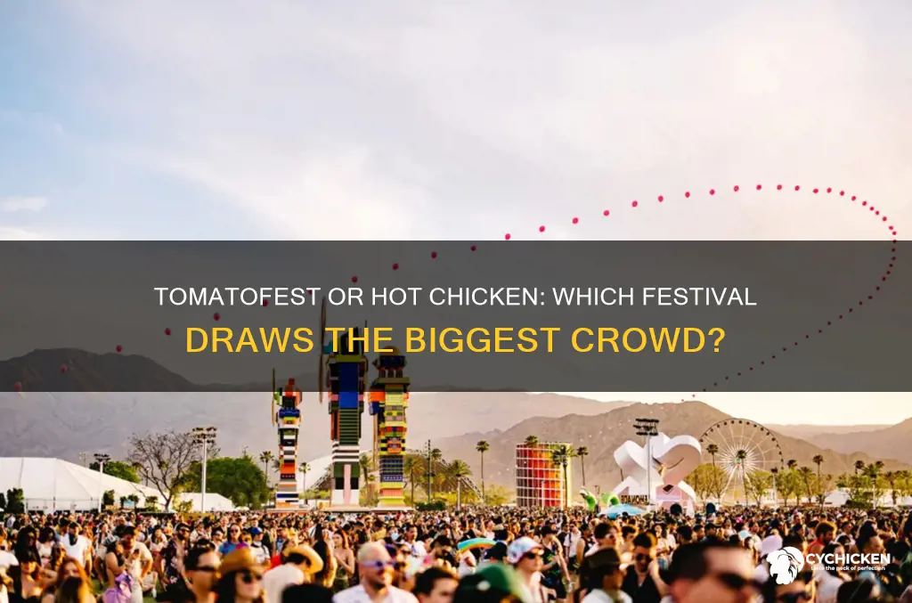 which has a bigger crowd tomatofest or hot chicken festival