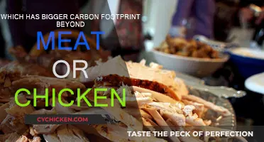 Meat vs. Beyond Meat: Which Has a Bigger Carbon Footprint?