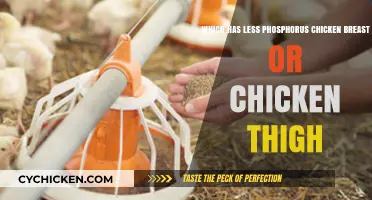 Chicken Breast vs. Thigh: Which Has Less Phosphorus?