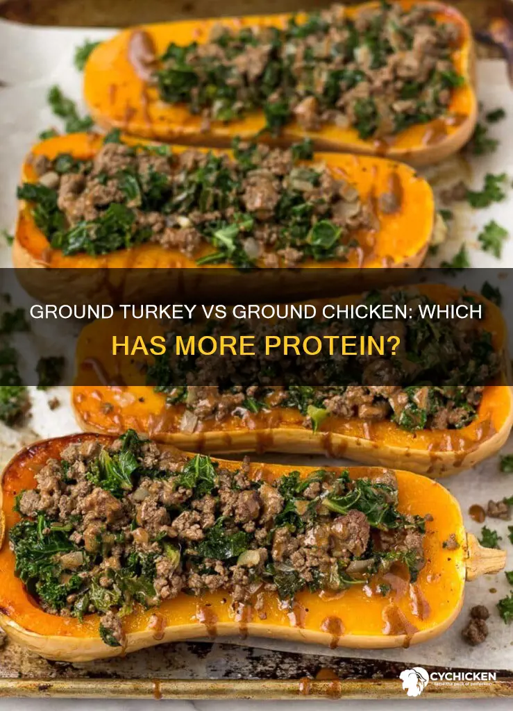 which has less protein ground chicken or ground turkey