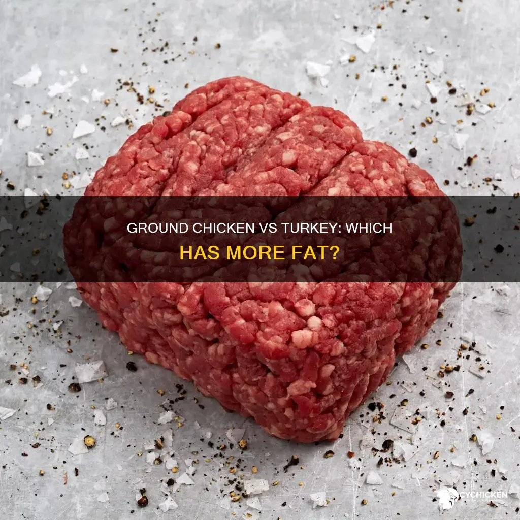 which has more fat ground chicken or ground turkey