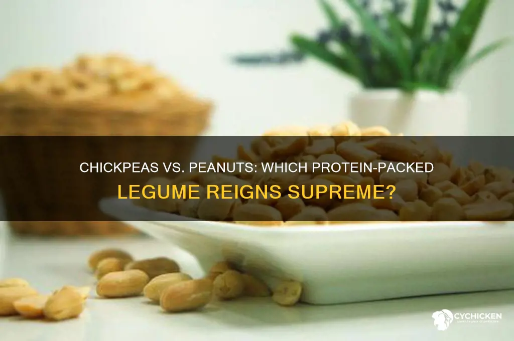 which has more protein chick peas or peanuts
