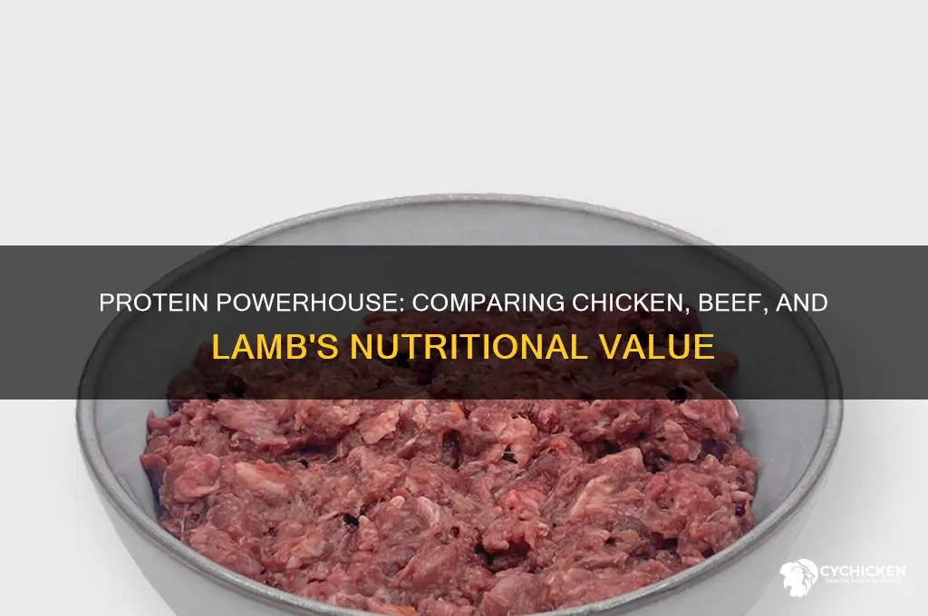 which has more protein chicken beef or lamb