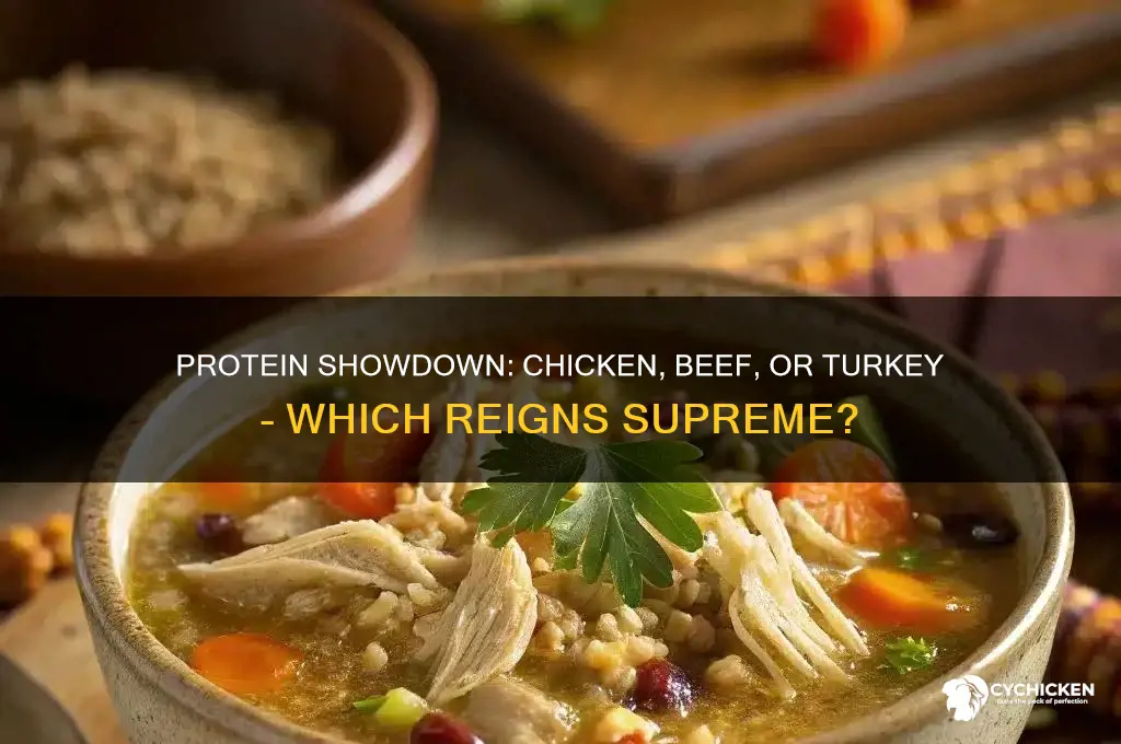 which has more protein chicken beef or turkey