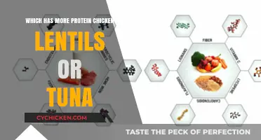 Protein Powerhouses: Comparing Chicken, Lentils, and Tuna for Optimal Nutrition