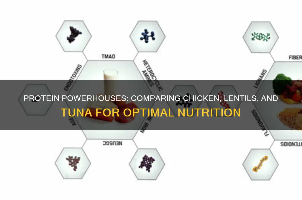 which has more protein chicken lentils or tuna