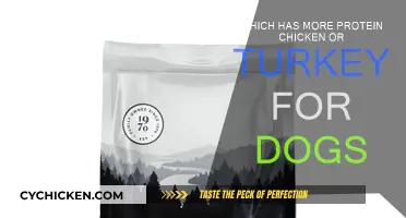 Chicken vs Turkey: Protein-Rich Dog Food