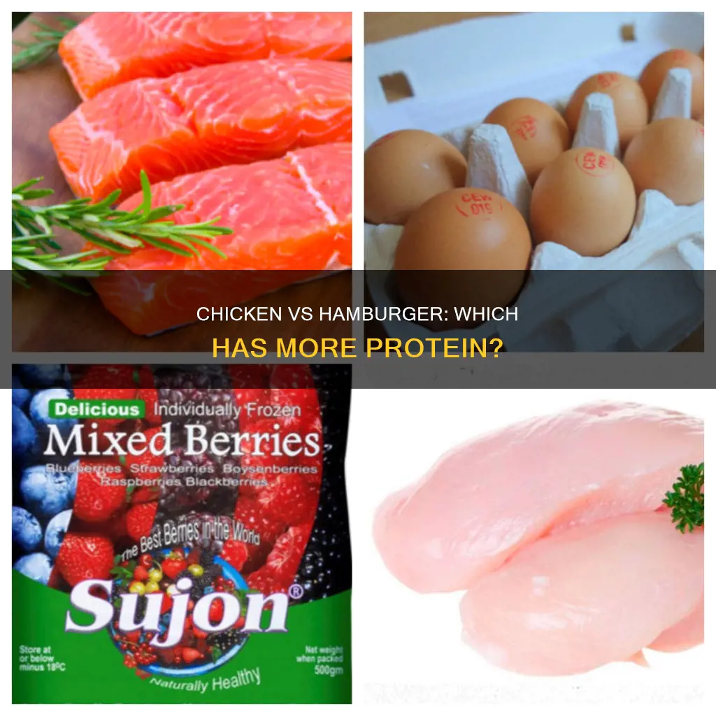 which has more protein per ounce chicken or hamburger