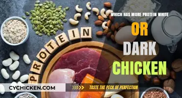 White vs. Dark Chicken: Which Offers More Protein?