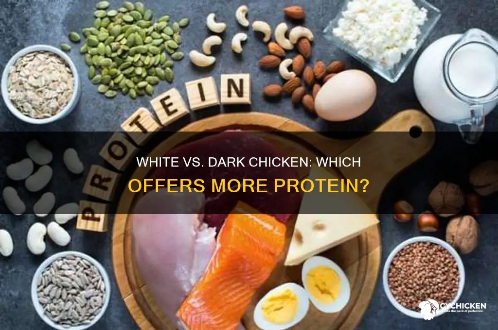 which has more protein white or dark chicken