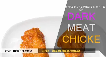 White vs Dark Meat Chicken: Which Has More Protein?