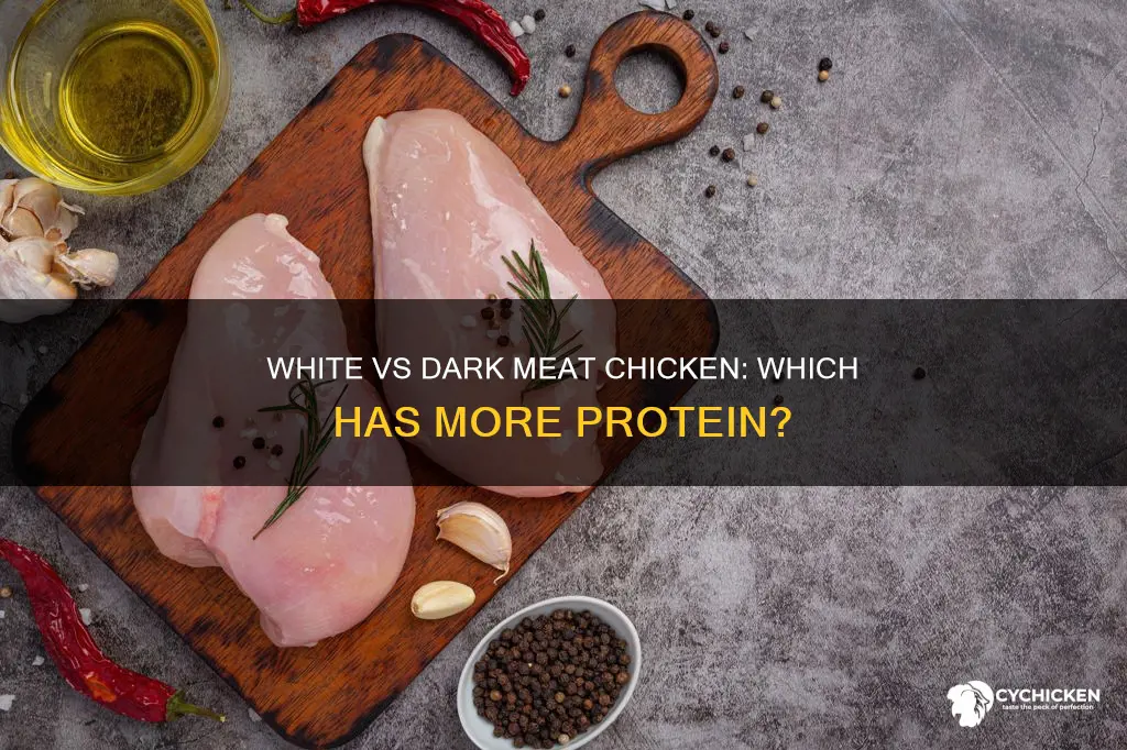 which has more protein white or dark meat chicken