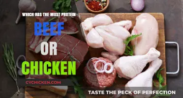 Beef vs. Chicken: Which Protein Source Packs the Most Punch?
