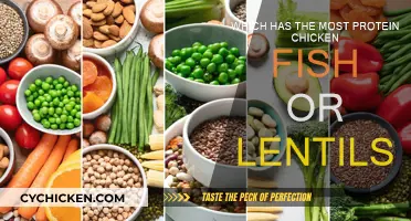 Protein Power: Chicken, Fish, or Lentils?