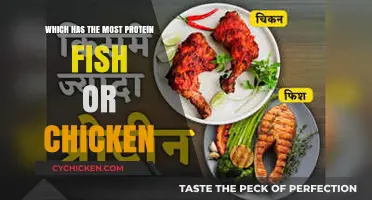 Fish vs. Chicken: Which Protein Source Packs the Most Punch?