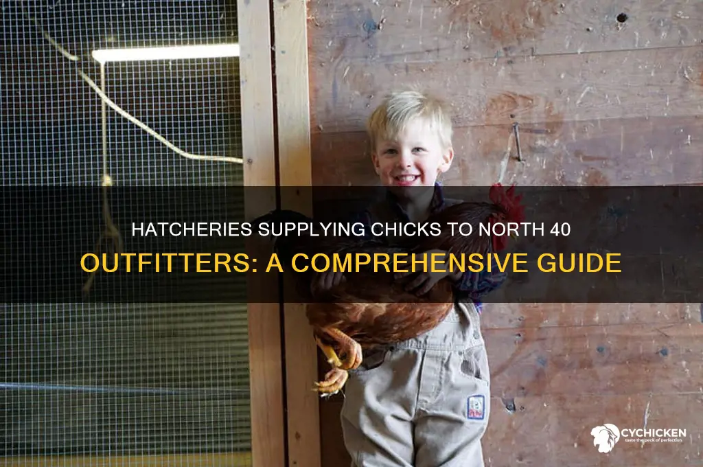 which hatcheries supply chicks to north 40 outfitters