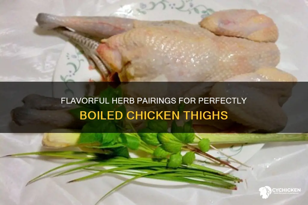 which herbes for cboiled chicken thighs