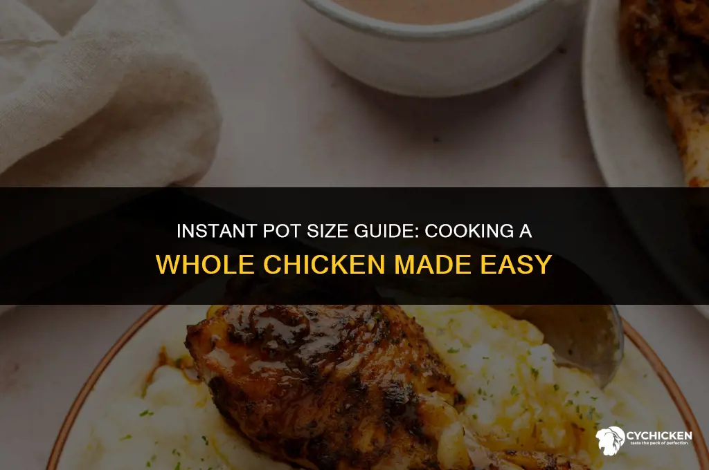 which instant pot fits a whole chicken