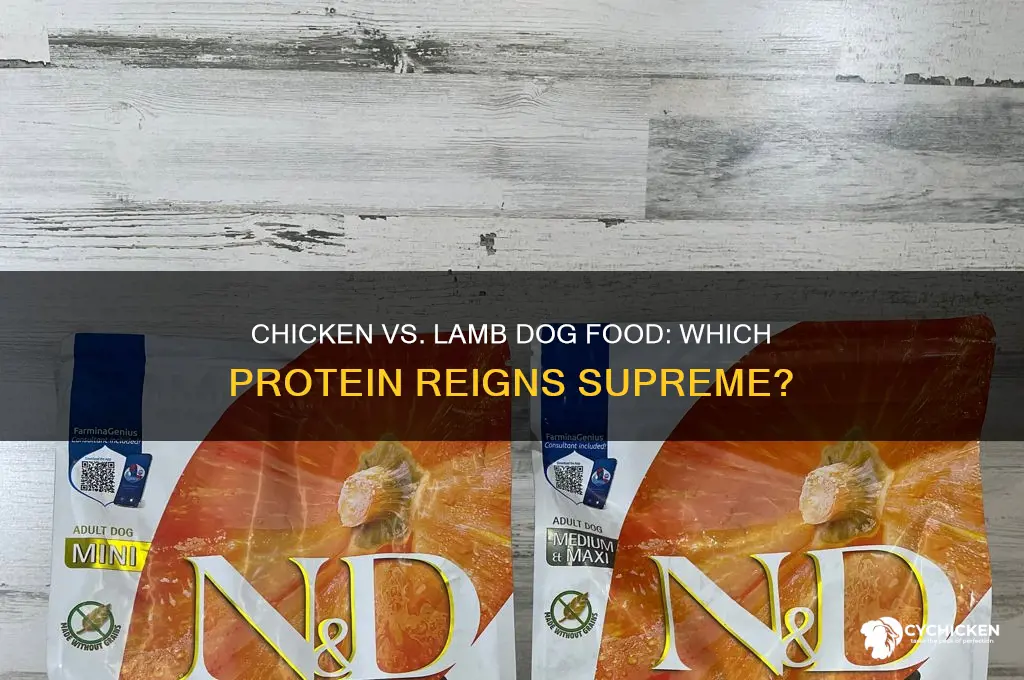 which is better chicken or lamb dog food