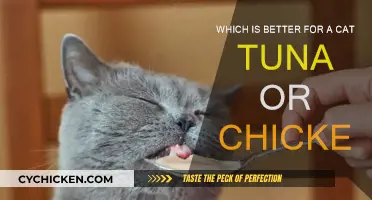 Tasty Chicken or Fishy Tuna: What Cats Prefer?