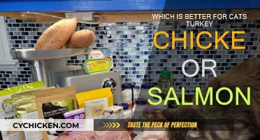 Meat or Fish? Turkey, Chicken, and Salmon for Cats