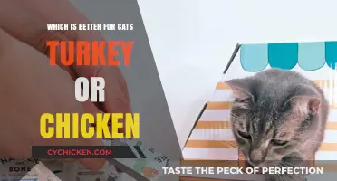 Turkey vs. Chicken: Which Protein Reigns Supreme for Cats?