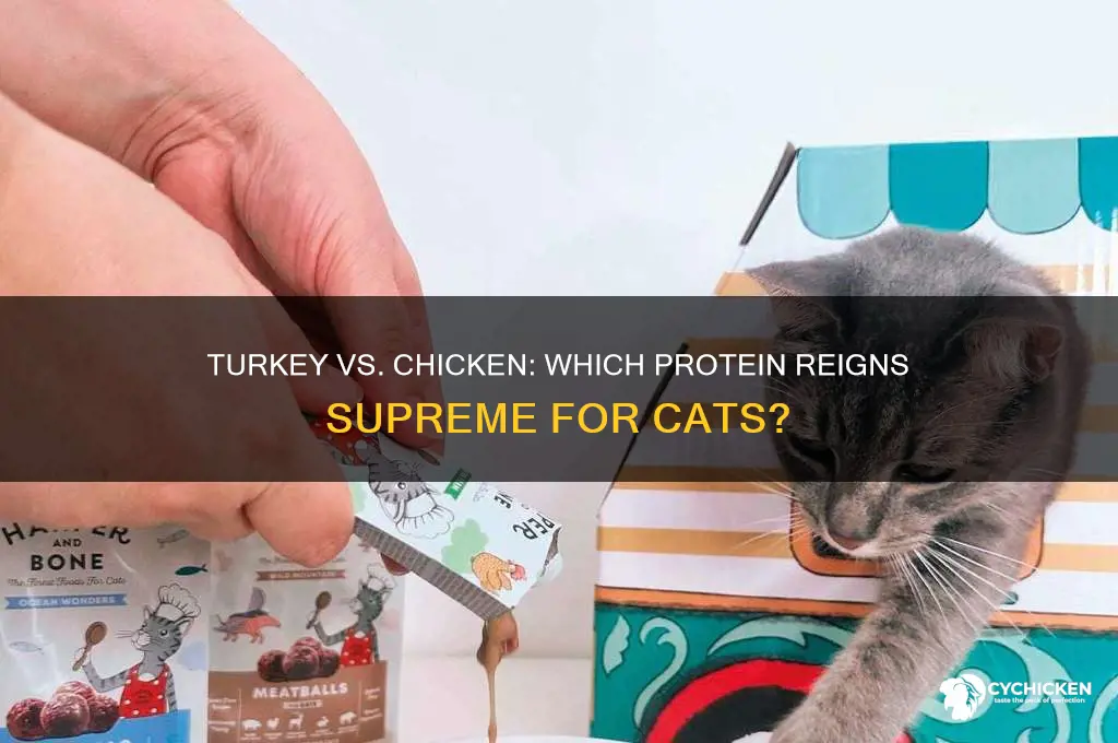 which is better for cats turkey or chicken