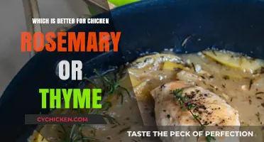 Rosemary vs. Thyme: Which Herb Elevates Your Chicken Dish Best?