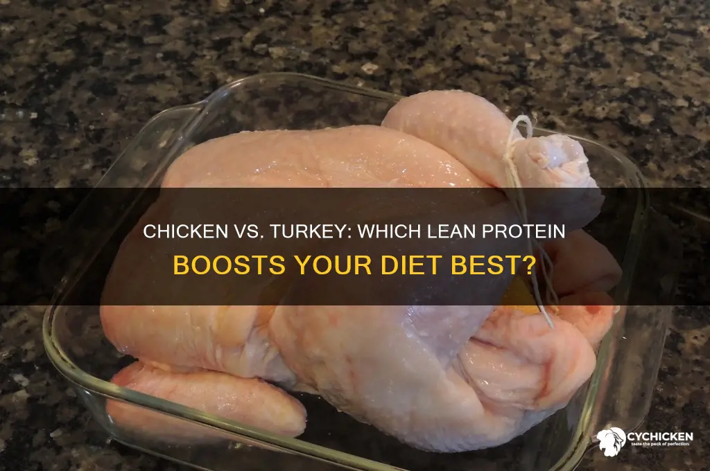 which is better for diet chicken or turkey