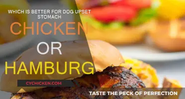 Chicken or Hamburger: Which Food Soothes Dog Upset Stomachs?