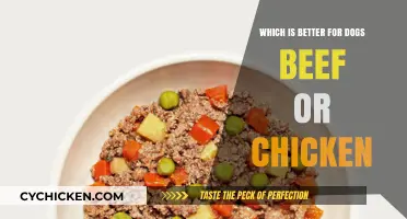 Beef vs. Chicken: Which Protein is Best for Your Dog?